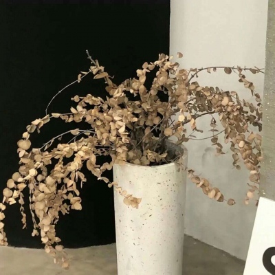 徐水FurryQQ群介绍